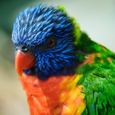 1920 x 1080 HD Wallpapers 1649